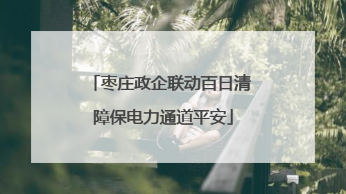 枣庄政企联动百日清障保电力通道平安