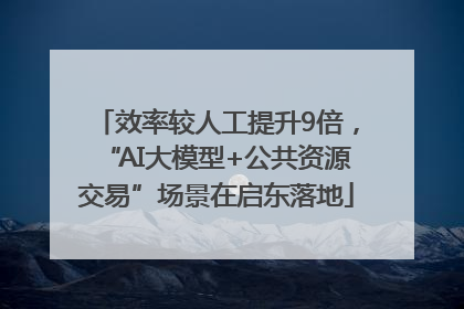 效率较人工提升9倍，“AI大模型+公共资源交易”场景在启东落地