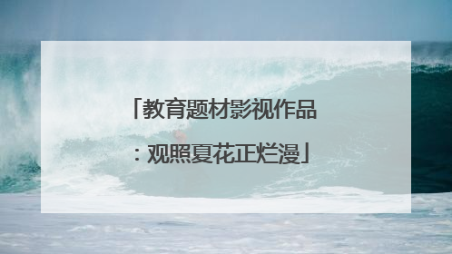教育题材影视作品：观照夏花正烂漫