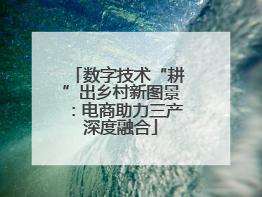 数字技术“耕”出乡村新图景：电商助力三产深度融合
