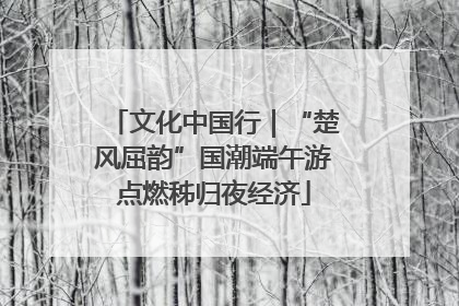 文化中国行｜“楚风屈韵”国潮端午游点燃秭归夜经济