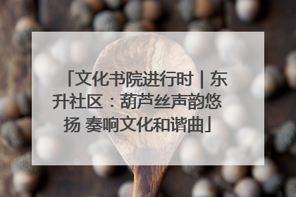 文化书院进行时｜东升社区：葫芦丝声韵悠扬 奏响文化和谐曲
