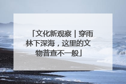 文化新观察｜穿雨林下深海，这里的文物普查不一般