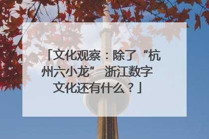 文化观察：除了“杭州六小龙” 浙江数字文化还有什么？