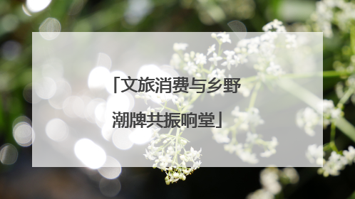 文旅消费与乡野潮牌共振响堂