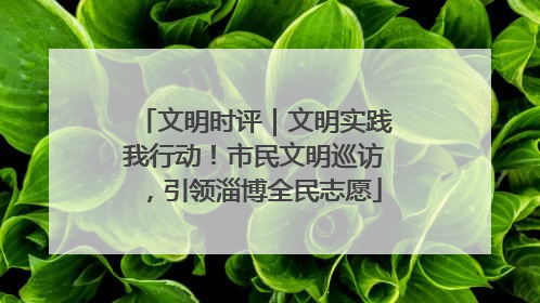 文明时评｜文明实践我行动！市民文明巡访，引领淄博全民志愿