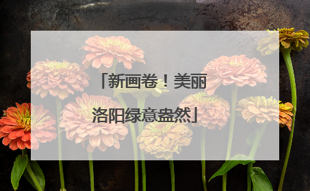 新画卷！美丽洛阳绿意盎然