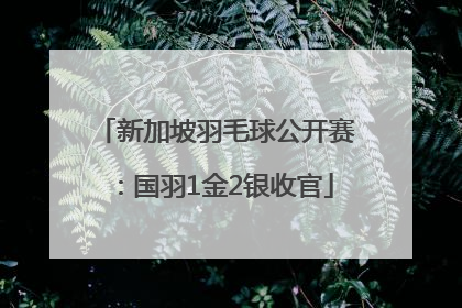 新加坡羽毛球公开赛：国羽1金2银收官