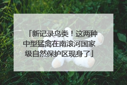 新记录鸟类！这两种中型猛禽在南滚河国家级自然保护区现身了