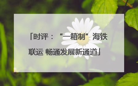 时评：“一箱制”海铁联运 畅通发展新通道