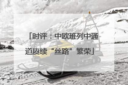 时评：中欧班列中通道赓续“丝路”繁荣