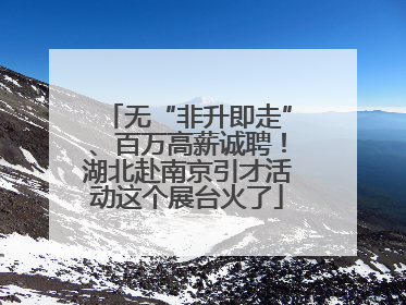 无“非升即走”、百万高薪诚聘！湖北赴南京引才活动这个展台火了
