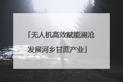无人机高效赋能澜沧发展河乡甘蔗产业