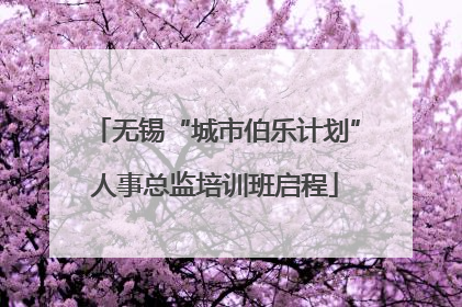 无锡“城市伯乐计划”人事总监培训班启程