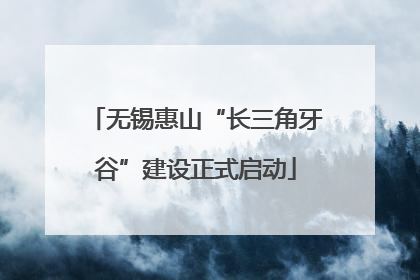 无锡惠山“长三角牙谷”建设正式启动