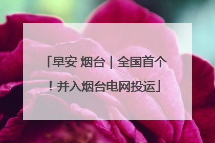 早安 烟台｜全国首个！并入烟台电网投运