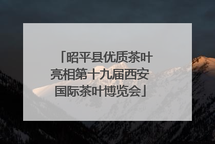 昭平县优质茶叶亮相第十九届西安国际茶叶博览会
