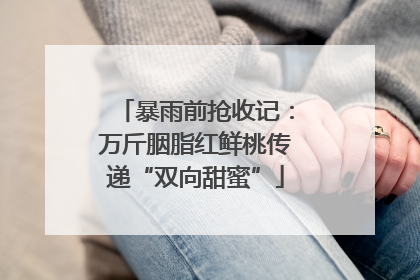 暴雨前抢收记：万斤胭脂红鲜桃传递“双向甜蜜”
