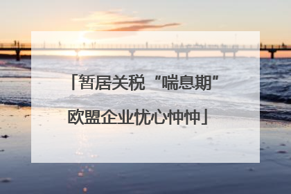 暂居关税“喘息期” 欧盟企业忧心忡忡