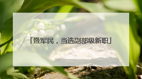 暨军民，当选副部级新职