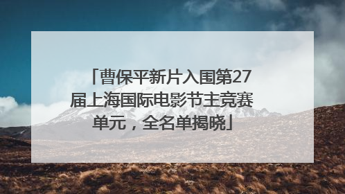 曹保平新片入围第27届上海国际电影节主竞赛单元，全名单揭晓