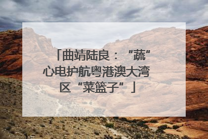 曲靖陆良：“蔬”心电护航粤港澳大湾区“菜篮子”