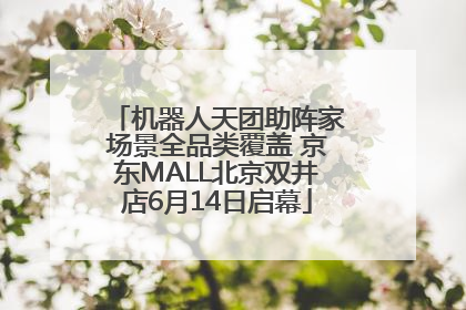 机器人天团助阵家场景全品类覆盖 京东MALL北京双井店6月14日启幕