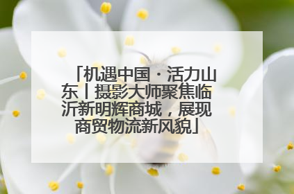 机遇中国・活力山东丨摄影大师聚焦临沂新明辉商城，展现商贸物流新风貌
