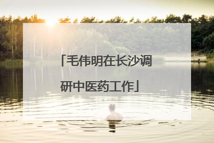 毛伟明在长沙调研中医药工作