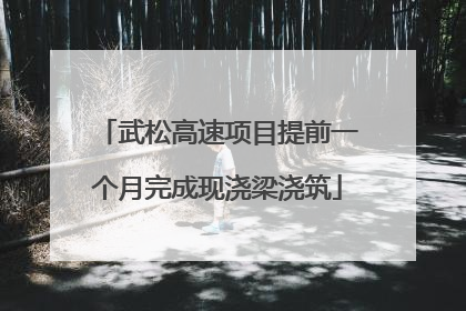 武松高速项目提前一个月完成现浇梁浇筑