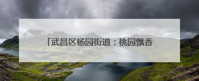 武昌区杨园街道：桃园飘香采摘忙 消费扶贫促振兴