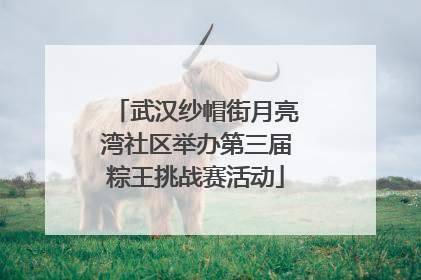 武汉纱帽街月亮湾社区举办第三届粽王挑战赛活动