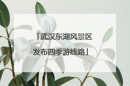 武汉东湖风景区发布四季游线路
