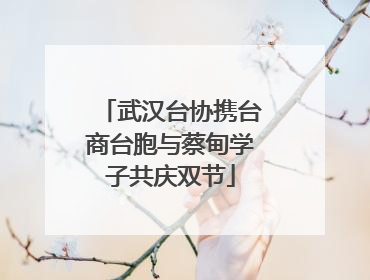 武汉台协携台商台胞与蔡甸学子共庆双节