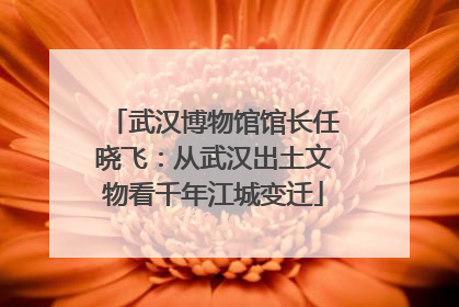 武汉博物馆馆长任晓飞：从武汉出土文物看千年江城变迁