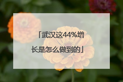 武汉这44%增长是怎么做到的