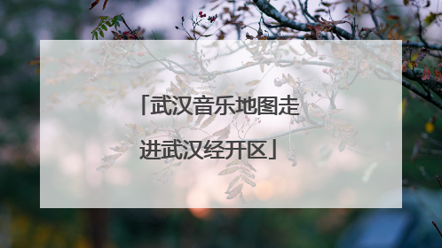 武汉音乐地图走进武汉经开区