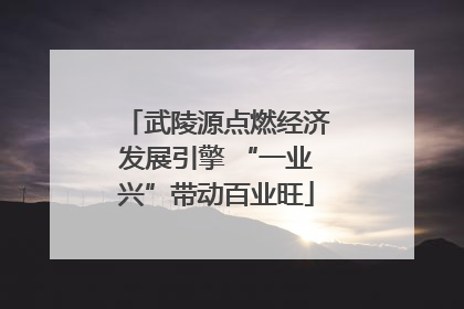 武陵源点燃经济发展引擎 “一业兴”带动百业旺