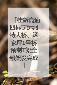 桂新高速四标宁远河特大桥、汤家坪1号桥预制T梁全部架设完成