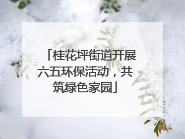桂花坪街道开展六五环保活动，共筑绿色家园