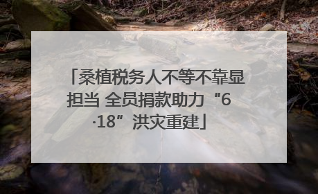 桑植税务人不等不靠显担当 全员捐款助力“6·18”洪灾重建