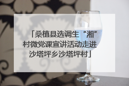 桑植县选调生“湘”村微党课宣讲活动走进沙塔坪乡沙塔坪村