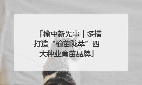 榆中新先事｜多措打造“榆苗陇萃”四大种业育苗品牌