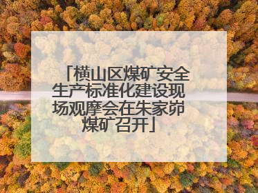 横山区煤矿安全生产标准化建设现场观摩会在朱家峁煤矿召开