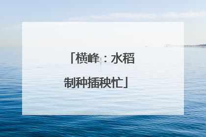 横峰：水稻制种插秧忙