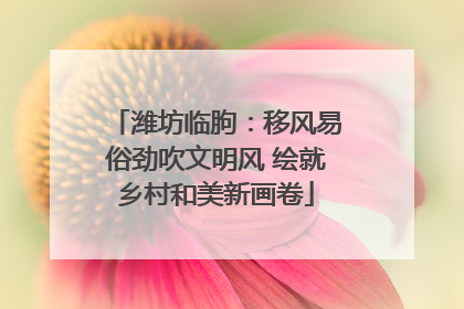 潍坊临朐：移风易俗劲吹文明风 绘就乡村和美新画卷