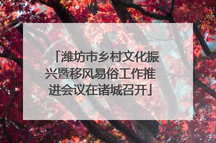 潍坊市乡村文化振兴暨移风易俗工作推进会议在诸城召开