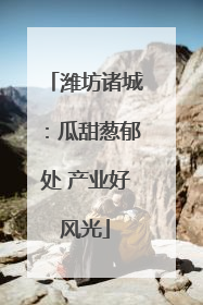 潍坊诸城：瓜甜葱郁处 产业好风光