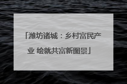 潍坊诸城：乡村富民产业 绘就共富新图景