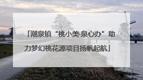 潮泉镇“桃小美·泉心办”助力梦幻桃花源项目扬帆起航